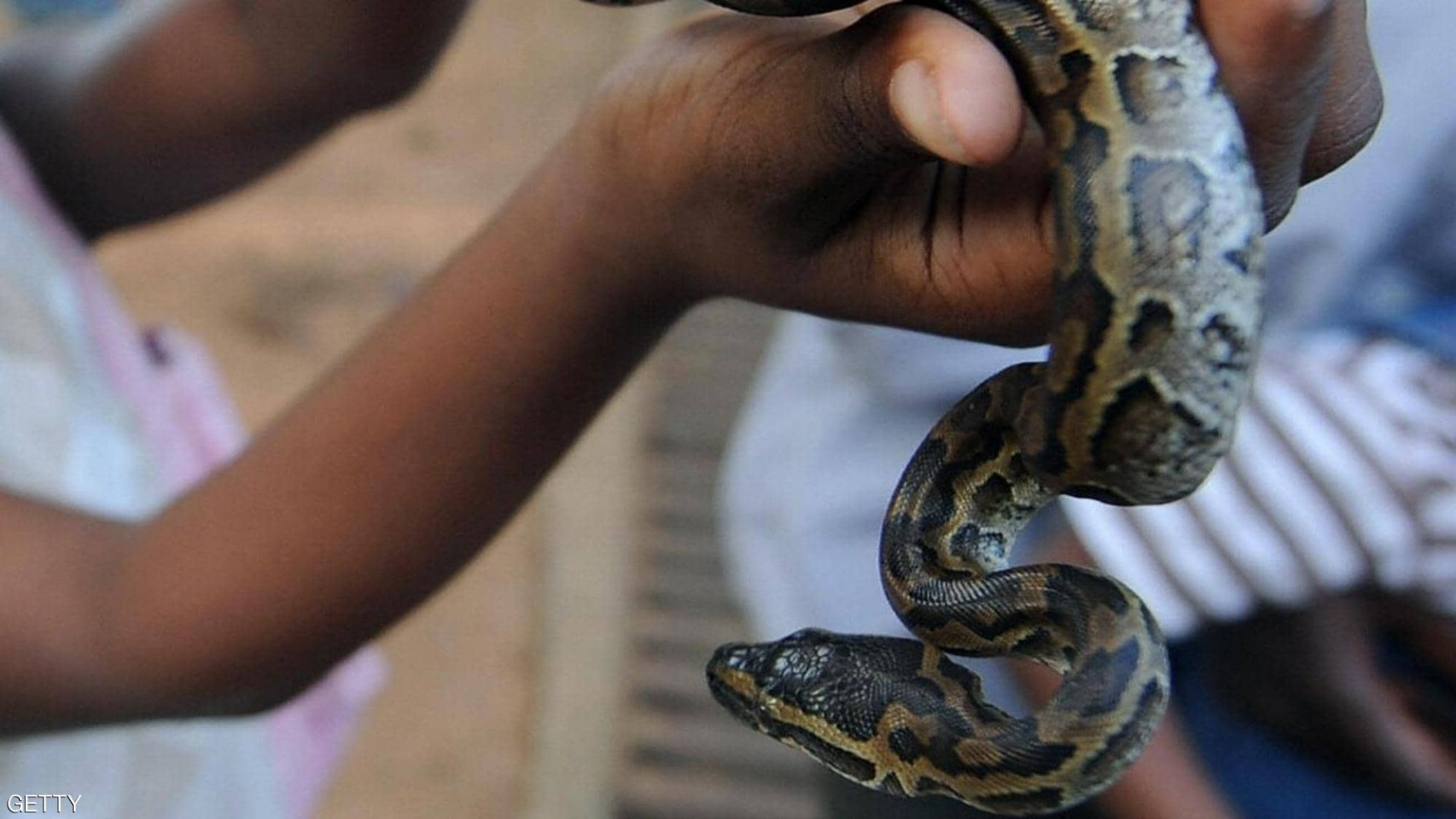 Women disappear claiming sleeping with a ritual snake