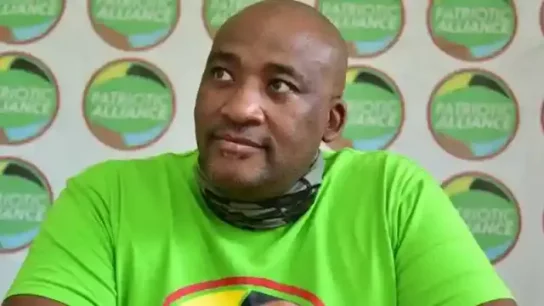 SA Opposition Leader, Gayton Mackenzie, Labels Zimbabwean Nationals "Cowards"
