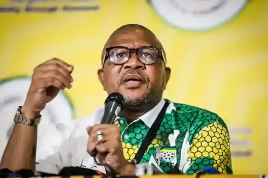 Zimbabwe 2023 Elections: South Africa's ANC Stands With ZANU PF