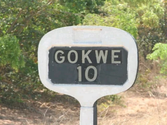 Gokwe suspect hangs self