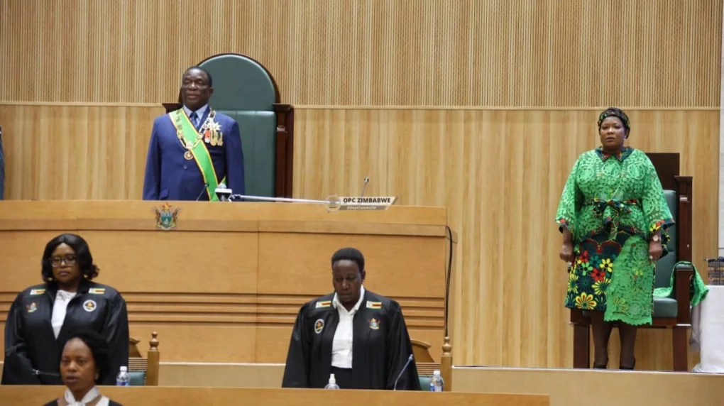 Mnangagwa vows to pass Zimbabwe’s controversial anti-NGO law