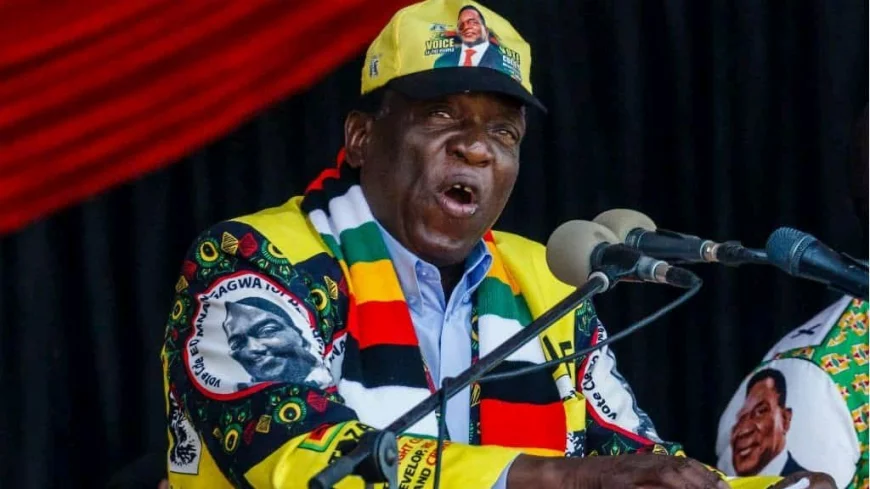 Prepare to use only Zimdollar, Mnangagwa tells Zimbabweans