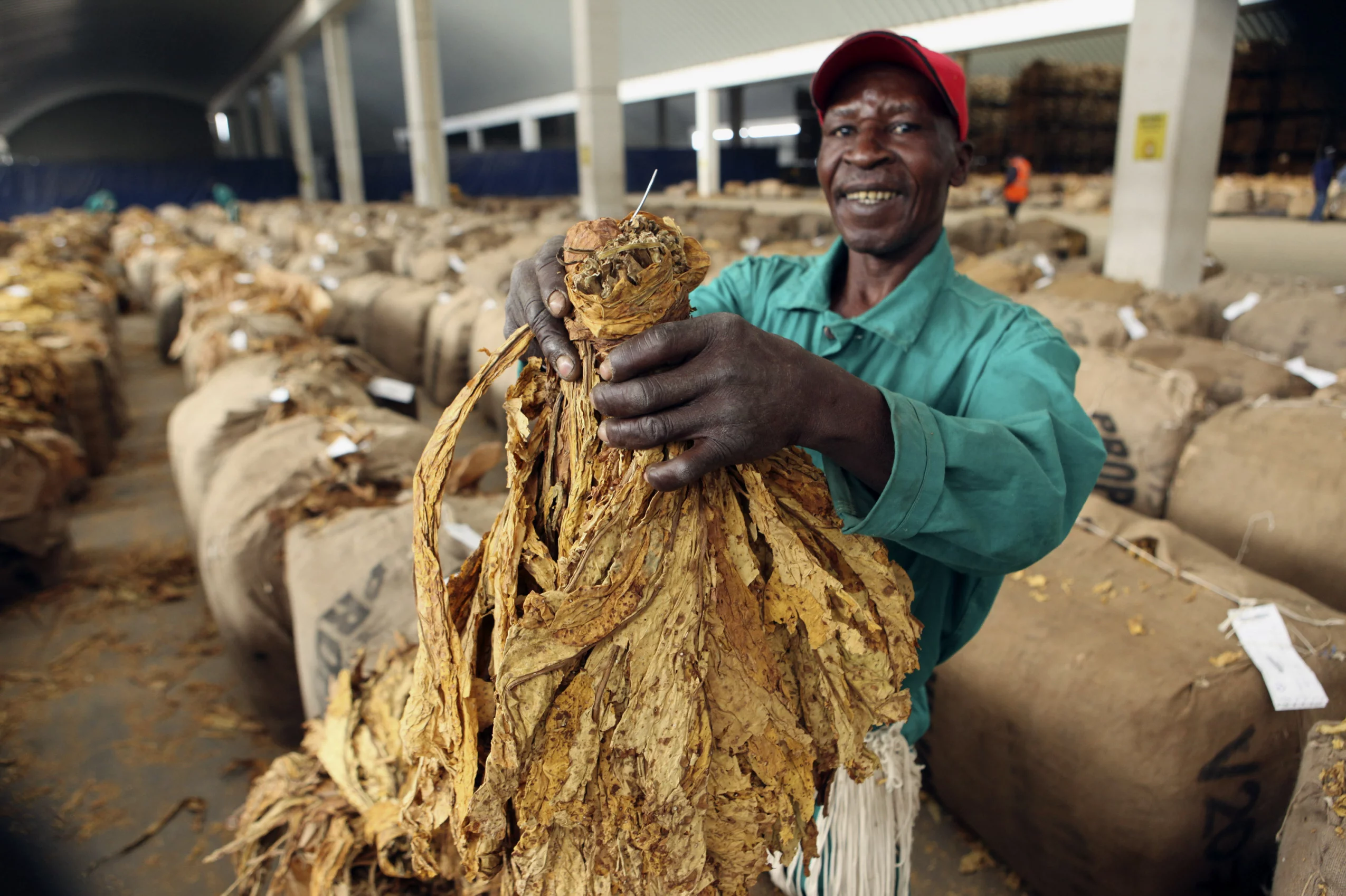 Zimbabwe’s tobacco exports yields $1 billion