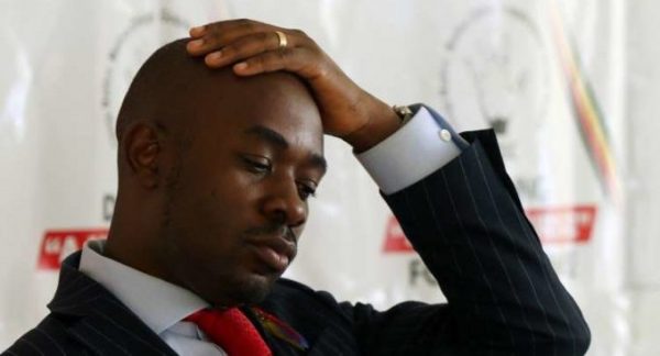 MDC Alliance claims more attacks