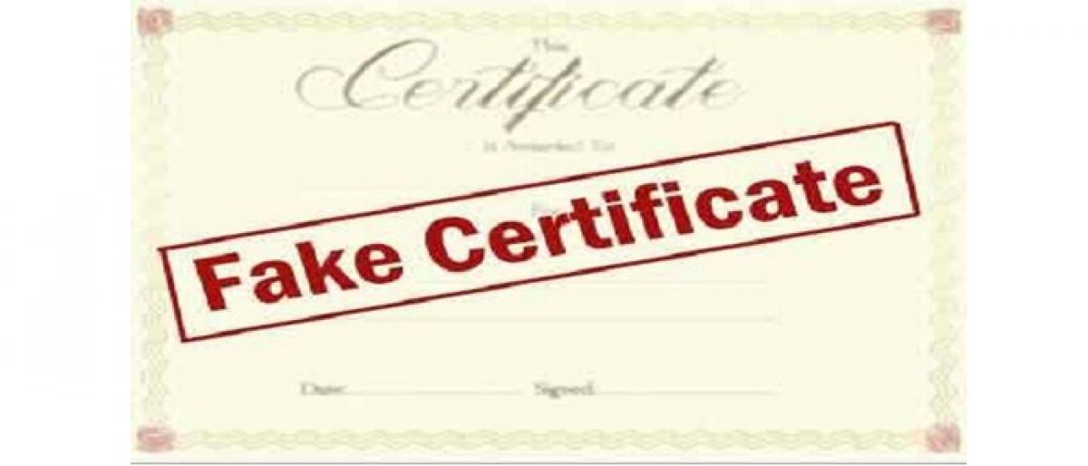 Fake Degrees For Sale In Zimbabwe