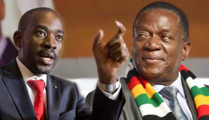 Chamisa supporters in soup over ‘ED dogs’ slur