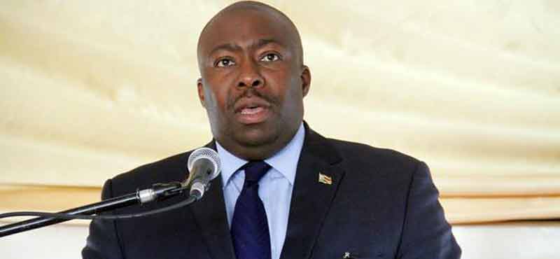 Kasukuwere Calls For National Unity WhatsApp Facebook Twitter