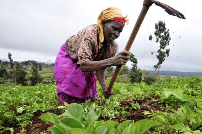 Start planting now: Agronomist tells farmers