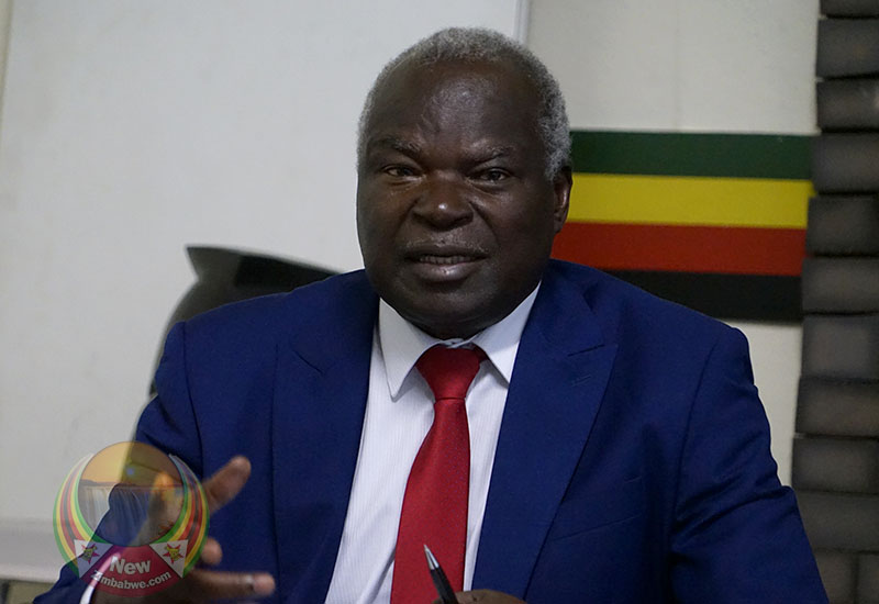 ‘Defend Your CountryBy Voting For ED’ July Moyo Tells Zanu PF Supporters