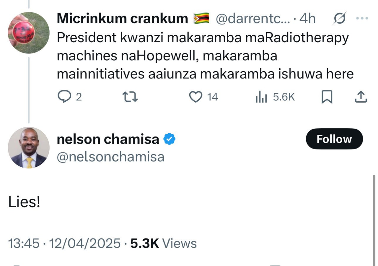 Chamisa blocks Chin’ono on X