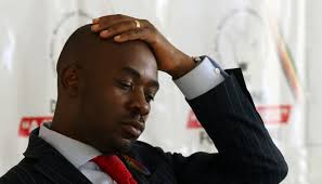 Chamisa Slams New Law Requiring ZBC Radio Licence for Motor Insurance