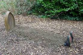 Man Murdered and Buried in Shallow Grave in Matabeleland North