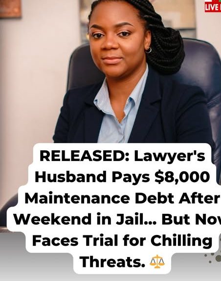 Harare Man’s $8,020 Payment Buys Freedom, But Not Escape from Alleged Threats and Drama