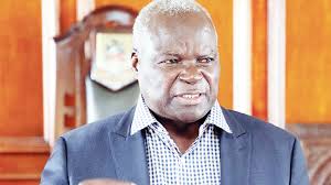 High Court Ends Mugabe Clan Chief Succession Saga with Presidential Intervention