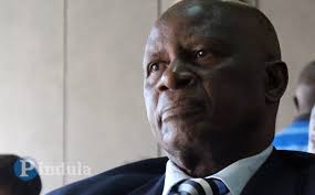 Party Resolution Puts President Mnangagwa in a Constitutional Tug-of-War