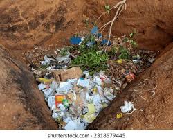 Eastlea Residents Revert to Old Waste Disposal Methods Amidst New Collection System