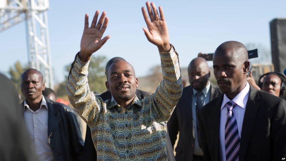Nelson Chamisa Brushs Off Rumors About His Next Political Moves As Mere Smoke and Mirrors.