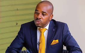 Nelson Chamisa Abandons Politics for Harvard University