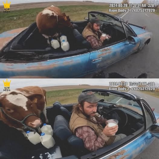 Driver’s Unconventional Tow Truck Lands   Him in Trouble