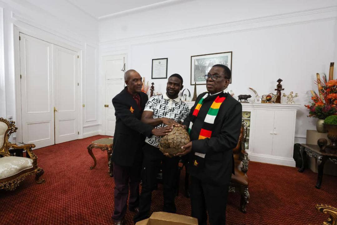 Pangolin Hijacks Farmer’s Day, Scores Meeting with President
