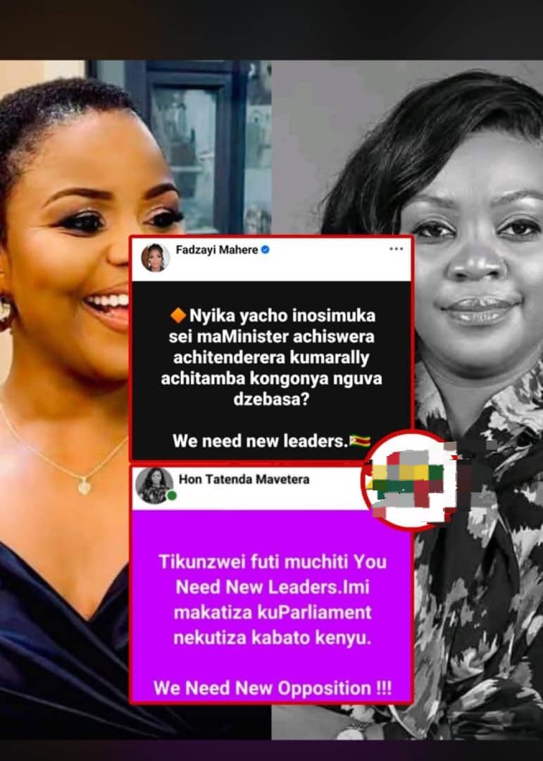 Opposition’s Fadzayi Mahere Questions Minister Tatenda Mavetera’s Use of ‘Doctor’ Title Amid Public Scrutiny