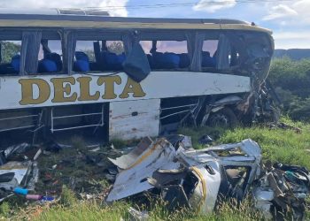 Two Drivers Die After Zimbabwe-Bound Delta Bus Crashes In Limpopo