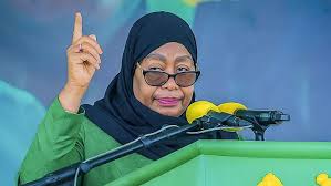 Tanzania’s President Samia Suluhu Sparks Nepotism Controversy