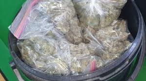 Dealer Caught with Three Buckets of Good Weed
