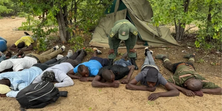 Drone Surveillance Foils Illegal Border Crossing by 25 Zimbabweans at Beitbridge