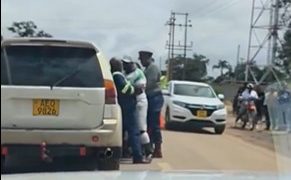 ”  Police Urge Calm and Compliance After Traffic Stop Scuffle Sparks Online Outrage