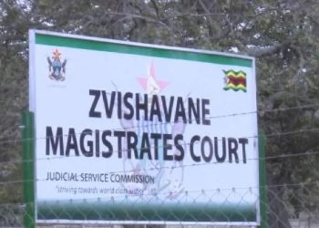 Driver Jailed 14 Months, Licence Cancelled After Fatal Crash Kills Two